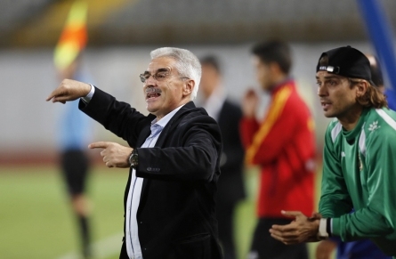 错失焦虑相关理论